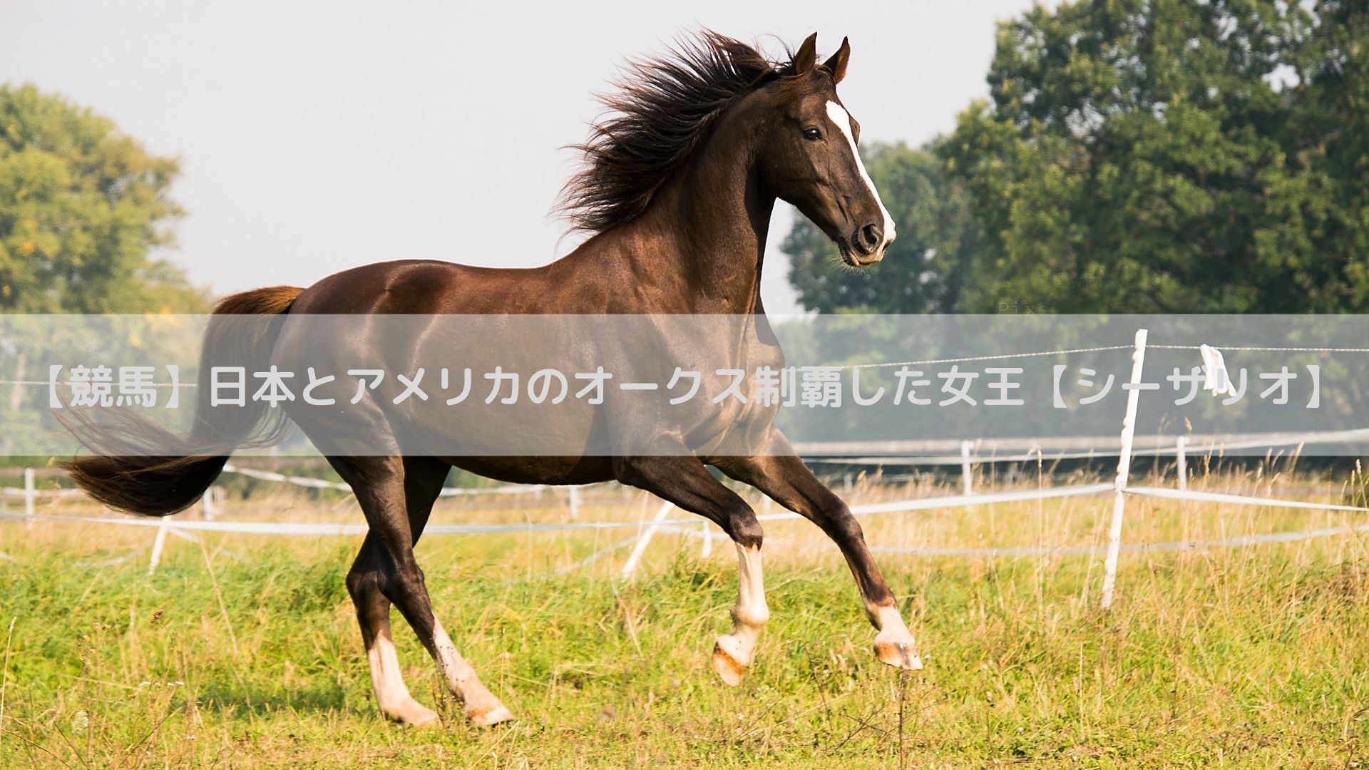 シーザリオの死因は？