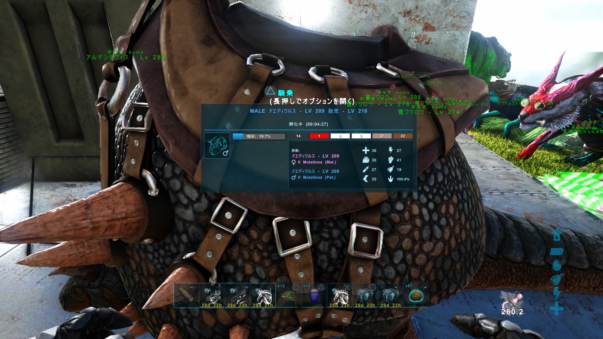 ark
