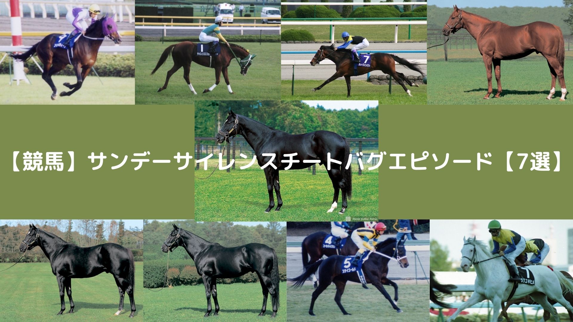 競馬 サンデーサイレンスチートバグエピソード 7選 くまぶろぐっ