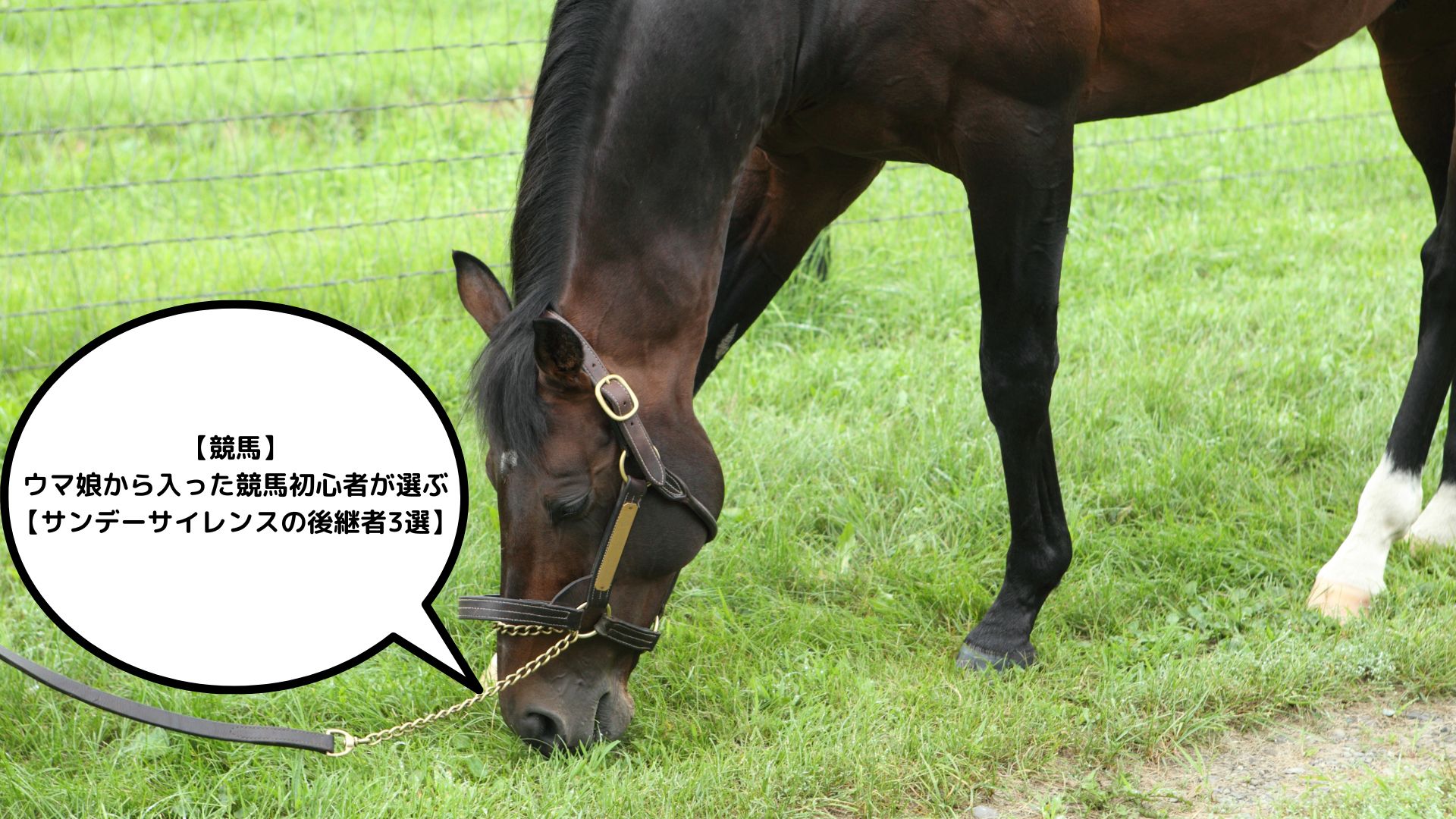 １９８５）サンデーサイレンス (Sunday Silence)写真額　競馬関係 1985）サンデーサイレンス (Sunday Silence)写真額 競馬関係